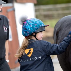 Little girl brushing a horse